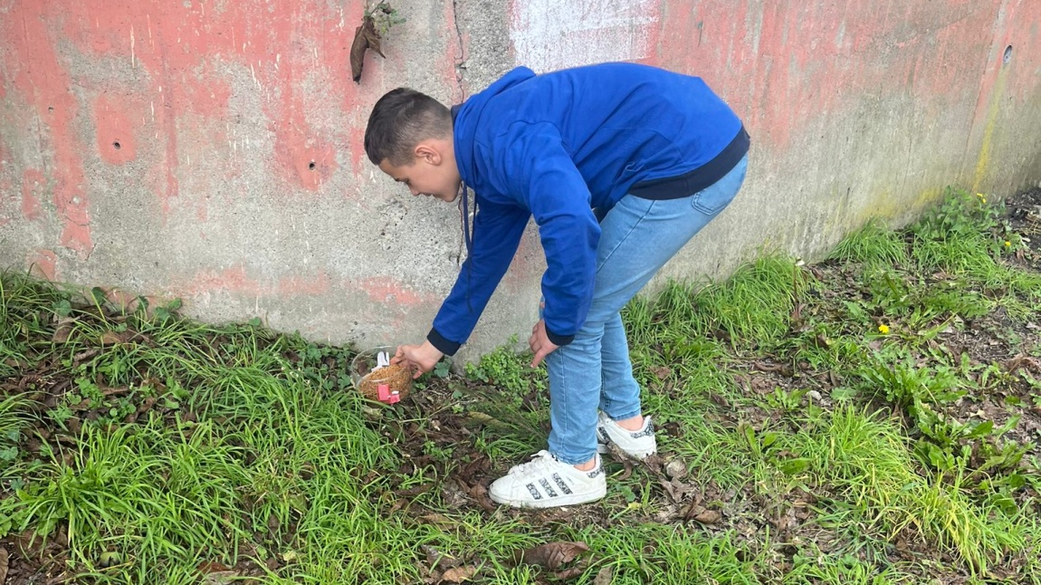 Kuşlar için okulumuzun yakınlarına yem kutuları bıraktık.